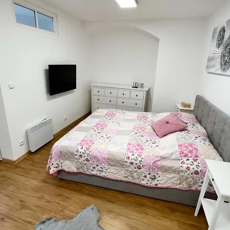 U Radnice, B 6 즈노이모