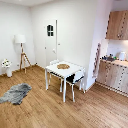 U Radnice, B 6 아파트 즈노이모