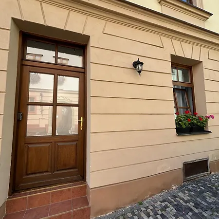 U Radnice, B 6 즈노이모